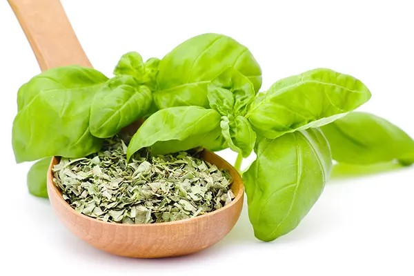 تصویر 5 از قیمت خرید سبزی ریحان خشک + فروش ویژه